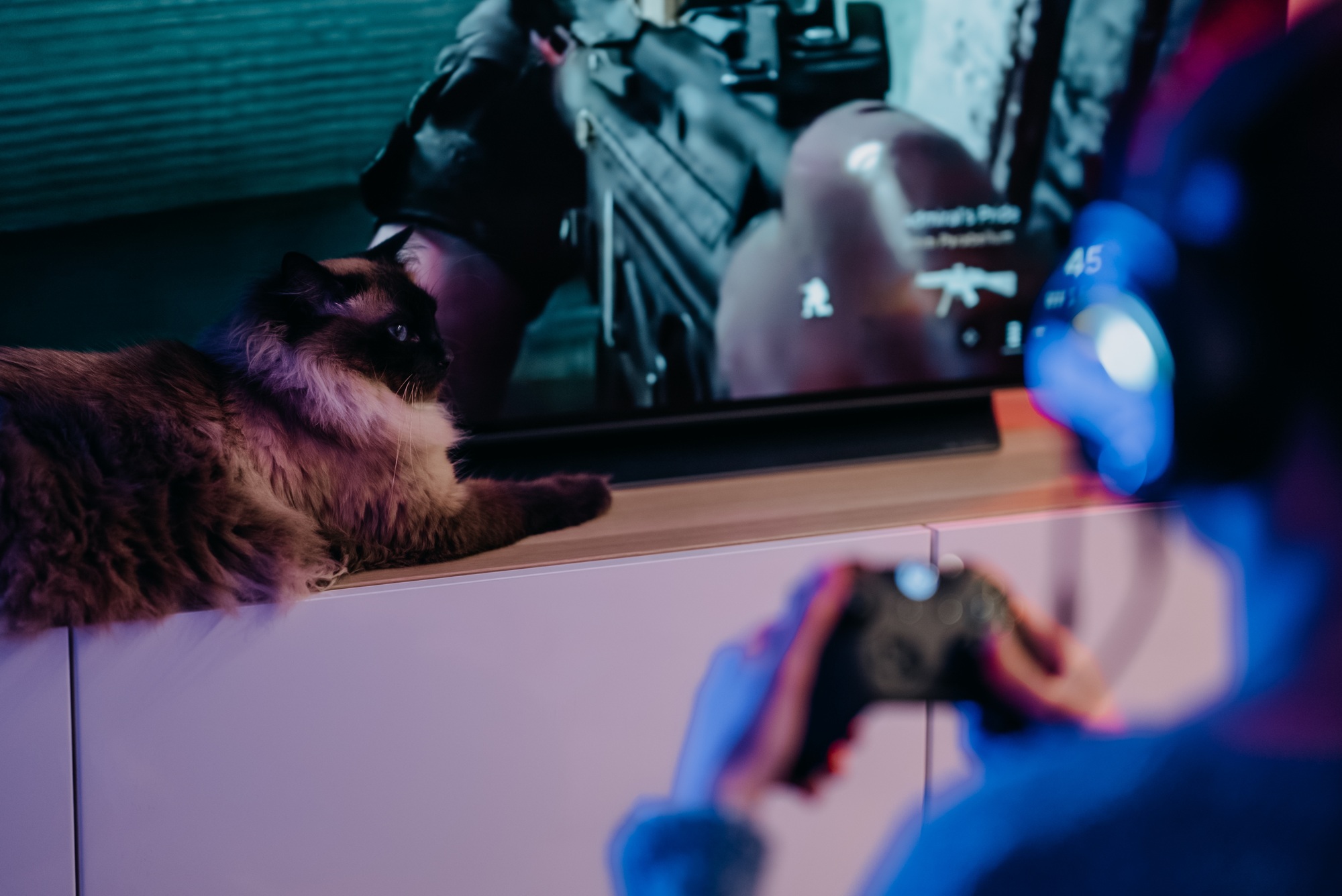 Girl with cat playing video games
